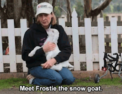 Toocooltobehipster:  Janedoughxvx:  Huffingtonpost:  This Baby Goat As Won The Internet