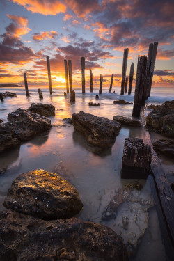 sundxwn:  Sticks & Stones by Dylan Gehlken