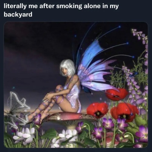 7786060