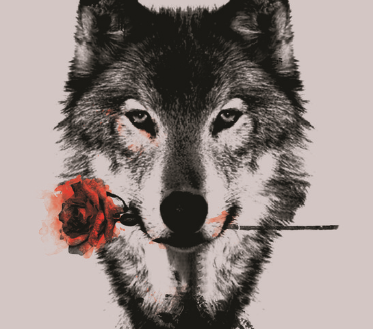 I&rsquo;m a lonewolf but I think I&rsquo;m ready to have a girlfriend&hellip;