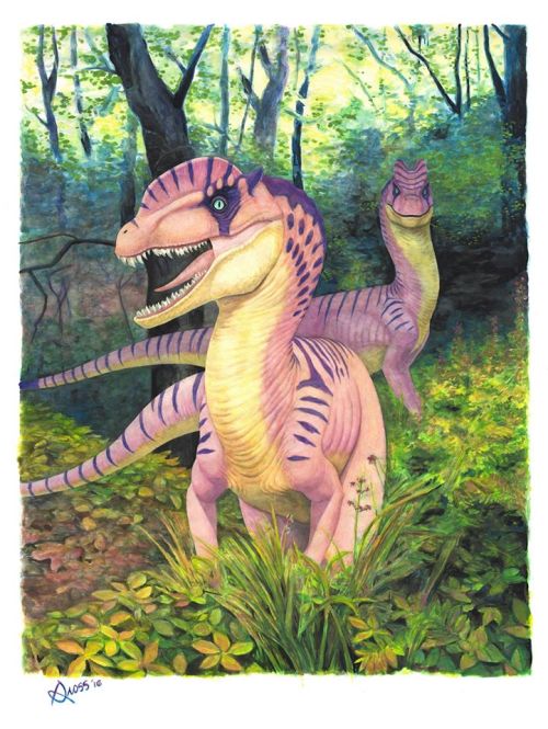 Dilophosaurus by Brett Gross. Watercolor, gouache, and ink-tense blocks on watercolor paper. 42"