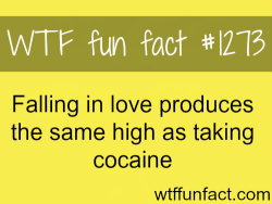 wtf-fun-facts:  love facts MORE OF WTF FACTS