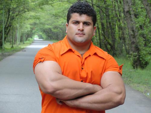 Muscle & Power Lifting Bear Pinups