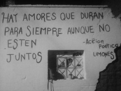 accionpoeticafotos:  Acción poética Limones 