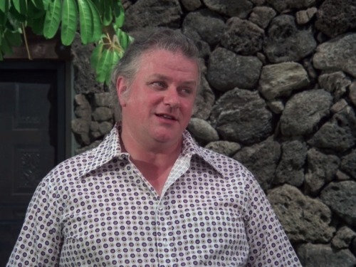  Hawaii Five-O (TV Series) - S8/E9 ’Retire in Sunny Hawaii… Forever’ (1975)Charles Durning as