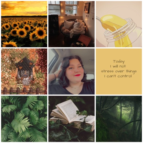 Me And The Wife Made Aesthetic Boards For Each Other So Plz Validate It