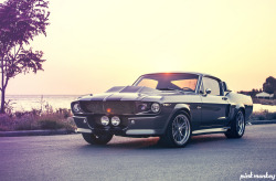 automotivated:  Shelby GT500E (by Giannis “KING” Kokkas) 
