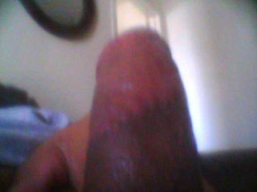 http://mychorizo.tumblr.com/post/59420198188