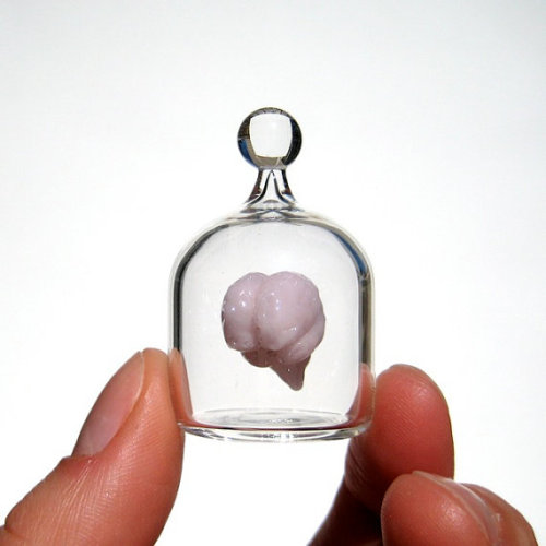 myampgoesto11: Hand blown glass miniature “Anatomy in a Jar” series by Kiva Ford Ki