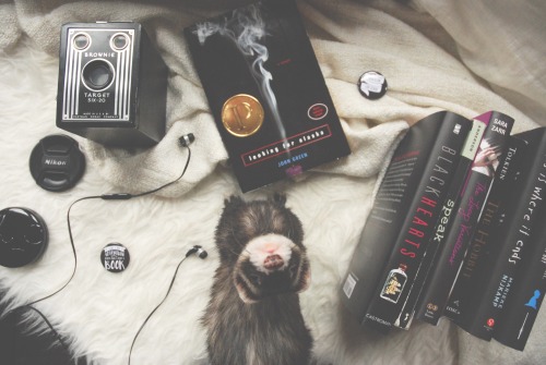 the-book-ferret: Color Coded: Black