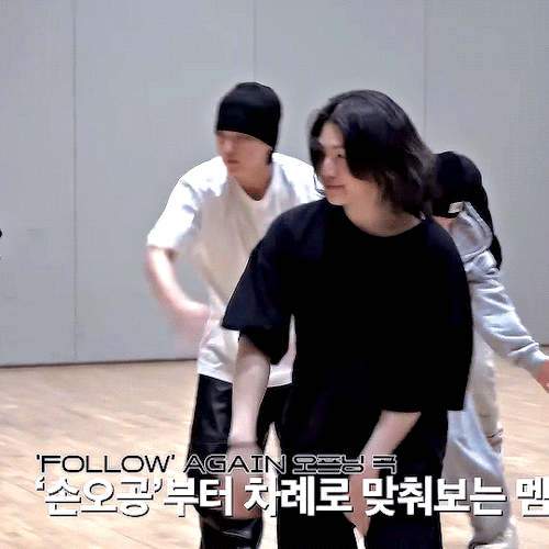Woozi's Lion Hair