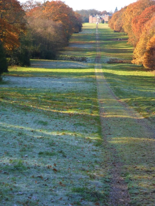 vwcampervan-aldridge:  Late Autumn Frost on the Avenue to Chillington Hall, Staffordshire, England All Original Photography by http://vwcampervan-aldridge.tumblr.com