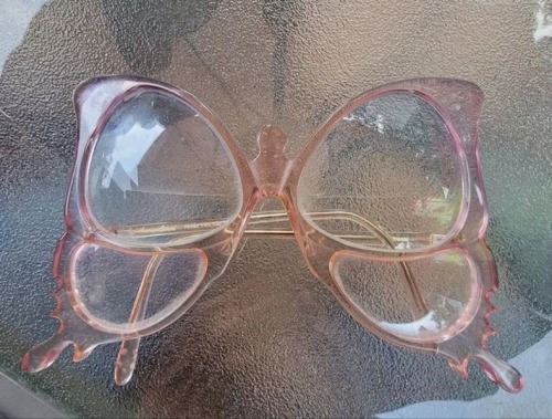 Butterfly Frames By Oliver Goldsmith