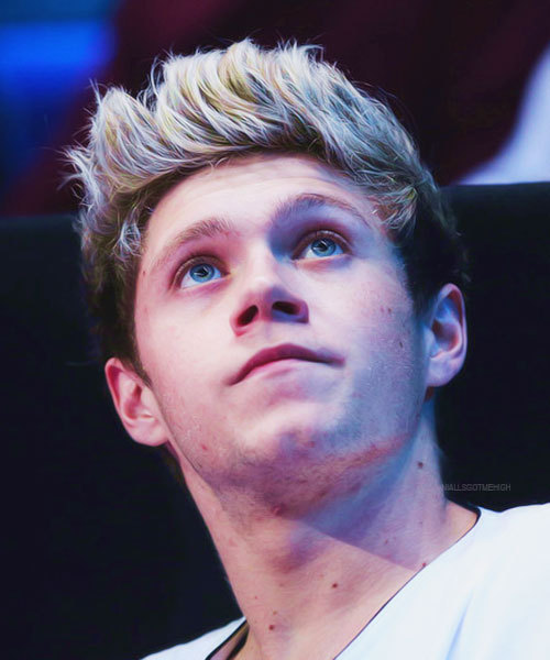 lewisandneil:  Niall at the ATP World Tour Finals 