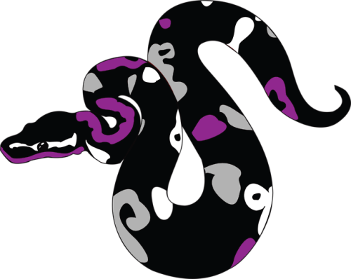 designsbydesdaemona:Asexual Pride Snake