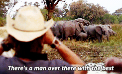 markgatiss:“I was looking at the elephants, really, I was.”