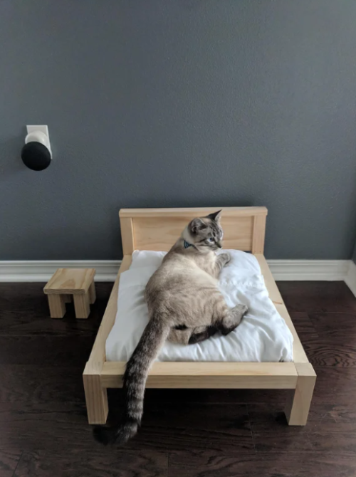“Husband said he was going to make a bed frame. I thought it was for our new mattress…. It wa