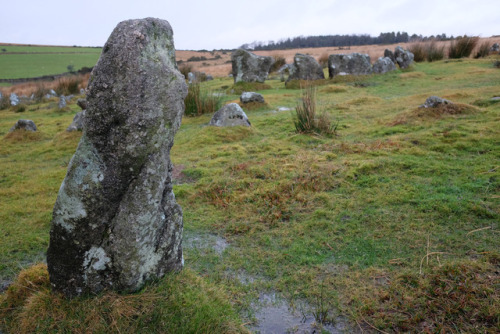 Yellowmead Stone Circles, Dartmoor, 29.12.17.This highly unusual Bronze Age site features a series o