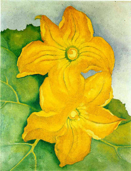 georgia-o-keeffe:Squash Blossoms I, Georgia O'Keeffe