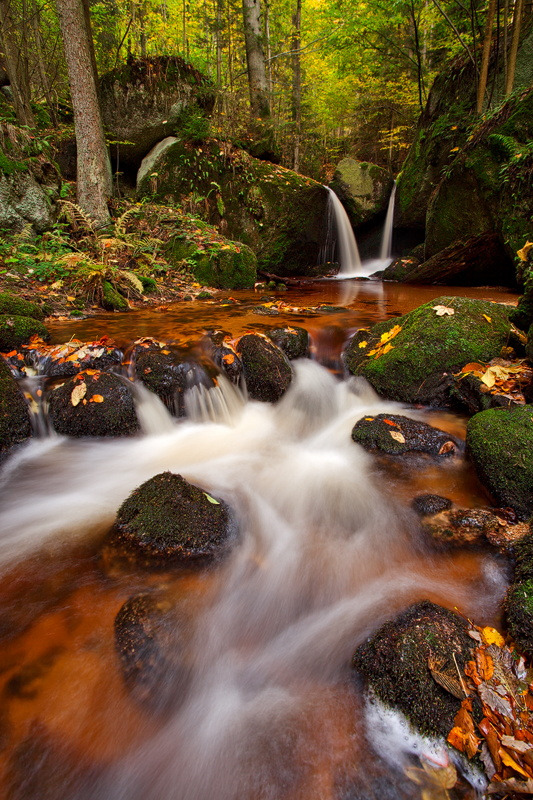 wowtastic-nature:  