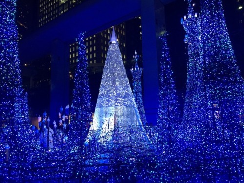 shoku-and-awe:Made it back to the light show at Caretta Shiodome before it closed. I’m happy s