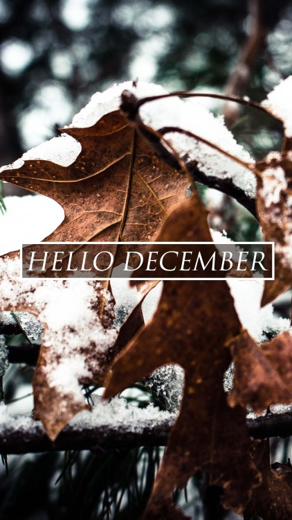 wallpaperprintery:hello again…