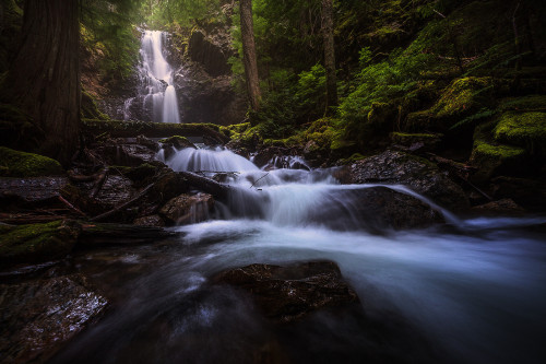 Lush Cascade by Michael Hitchner