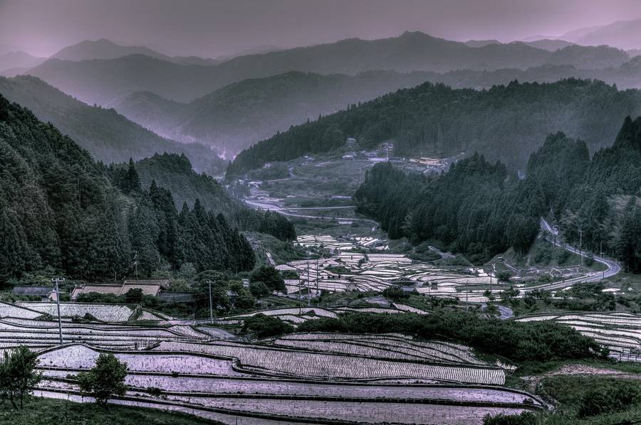 nevver:  Your moment of Zen, Hidenobu Suzuki 