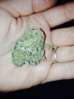 stoner-ette:  Blue Dreammm This shit loud as hell 