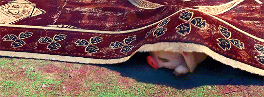 margots-robbie: Pua appreciation post (ﾉ◕ヮ◕)ﾉ*:･ﾟ✧
