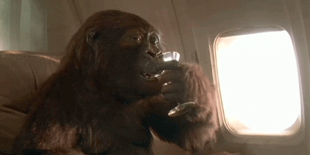 tumblr_n3qp5c4VXY1qedb29o1_r1_500.gif