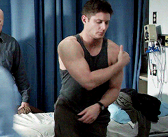 destielmybeatingheart:Jensen’s shoulders are one of life’s gifts.Why does he insist on hiding them b