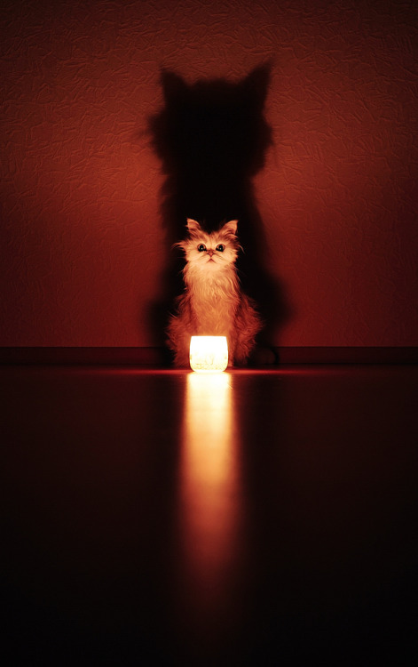 sojourners-journey:  Sojourner  ♘✯♔✯♘