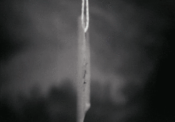 https://69.media.tumblr.com/104454ccad2ae5d6d9fd4f15298f07c0/tumblr_mwzf0zdyFc1t10mxgo1_250.gif