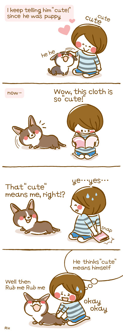 corgiaddict:  He thinks cute means himself