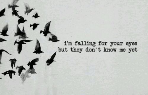 tumblr photo anti-social-services 0