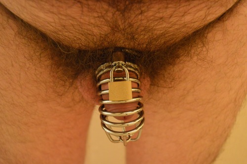 slavemale2004: chastityexhibitionist:Ready to serve - slavemale2004 Hot but this slave should show h