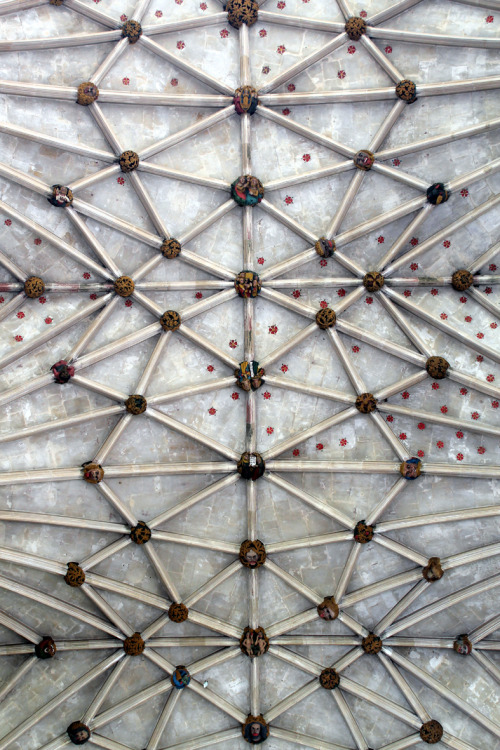 heaveninawildflower:Decorated ceiling of the ‘Lady Chapel.’ Ely cathedral.July 4th 2015.Own photogra