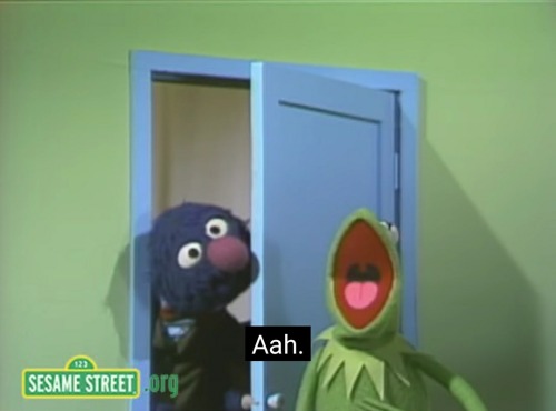 ode-to-rab: dnald:  dnald:       sesame street gets exponentially funnier as you age. god i love it 