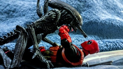 mysticghidorah:  Tongue? On the first date!?  I can dig it.  You know, I wonder what would happen if Deadpool got infected by a facehugger. Would the born alien have his healing properties? Or would it just burst from his chest as Deadpool looks into