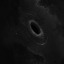 wallowing-apollo