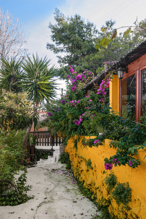 Abandoned restaurant in Plaka (III), Athens - GreeceAthens | Yellow