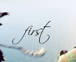sjalfradr:  Three hundred years, and I'm the firstViking who wouldn't kill a Dragon!First