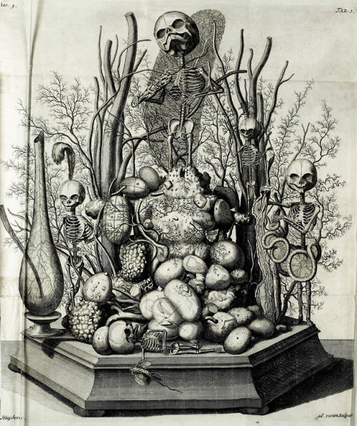 Cornelis Huyberts (1669-1712), &ldquo;Frederici Ruyschii Anatomes &amp; Botanices&rdquo; by Frederik