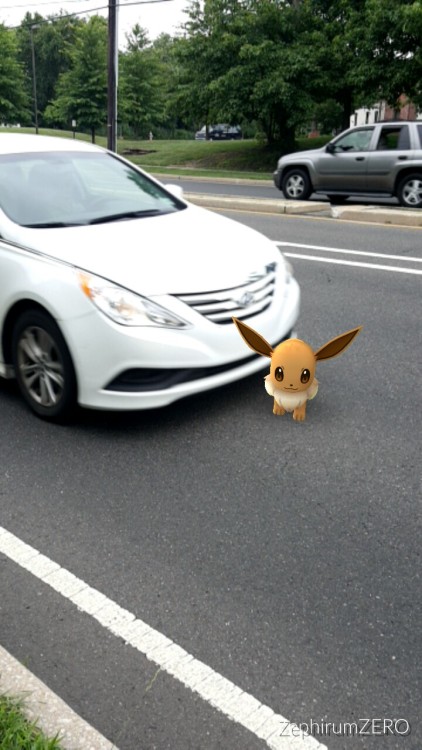 bye eevee