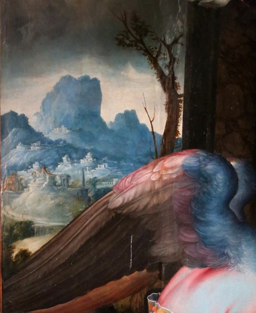 koredzas:Francesco Salviati - The Announciation. Detail. 1534