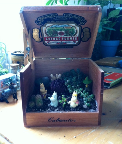 whitecatbite:  Oliver made me a moomin garden out of an old cigar box 