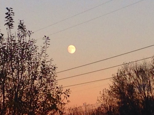 lavenderwaterwitch:the moon came out early today to say hi what a beauty
