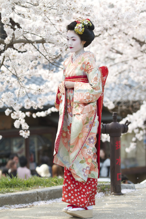 thekimonogallery - Geiko 3 by Sam Ryan on Flickr.