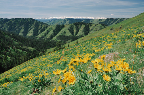 expressions-of-nature:Hells Canyon, Oregon by Cheryl